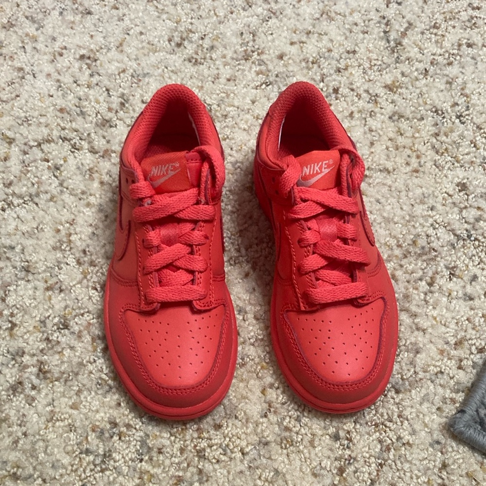 Kids Nike Dunk Lows